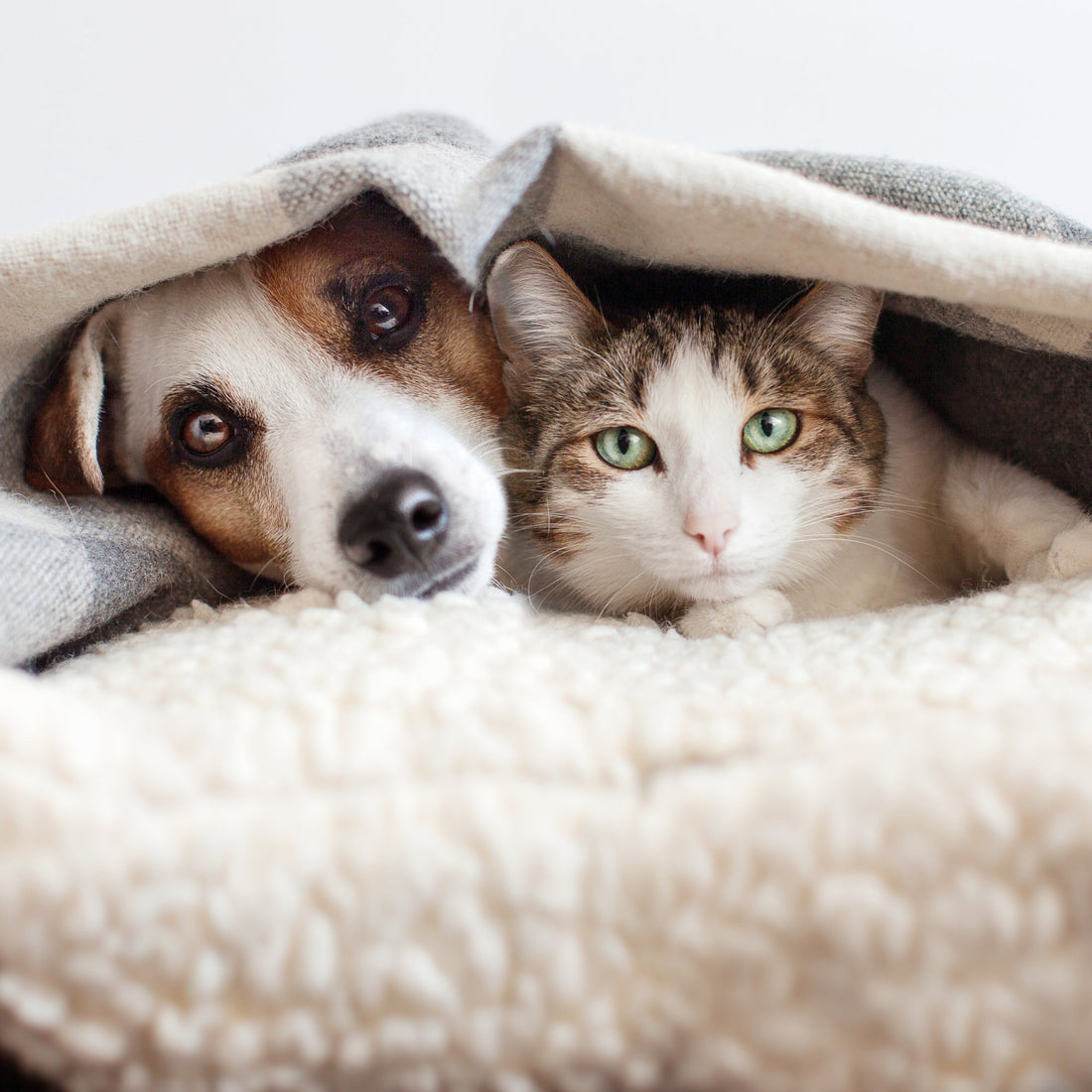 Dierenhaar uit je wasmachine verwijderen