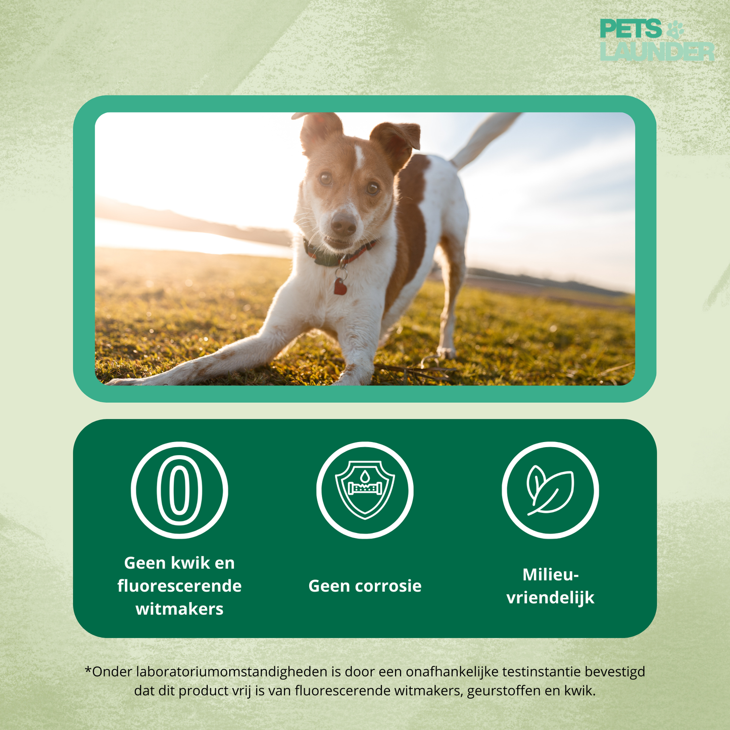 Huisdierhaar Oplosser voor de Was (2 Stuks) - Verwijdert Honden en Kattenhaar tijdens het Wassen